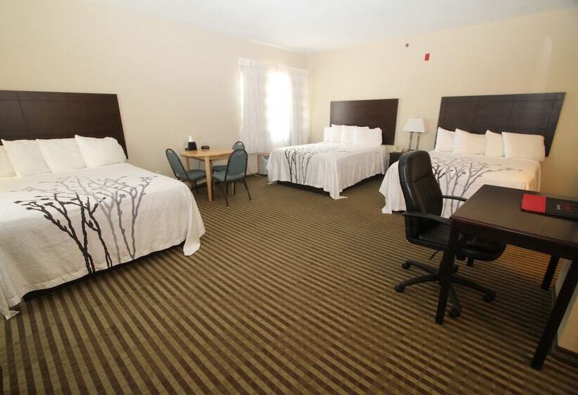 패밀리 스위트, Bowman Inn And Suites