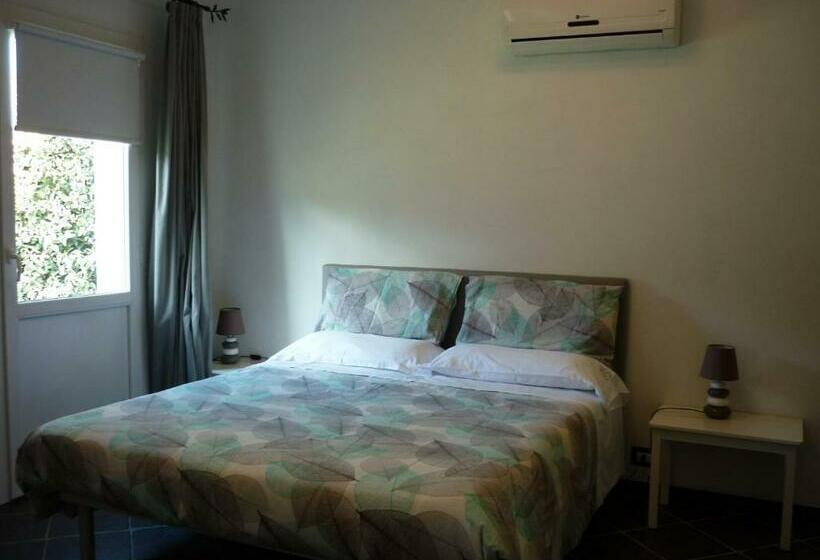 Studio Standard, Costa Morroni