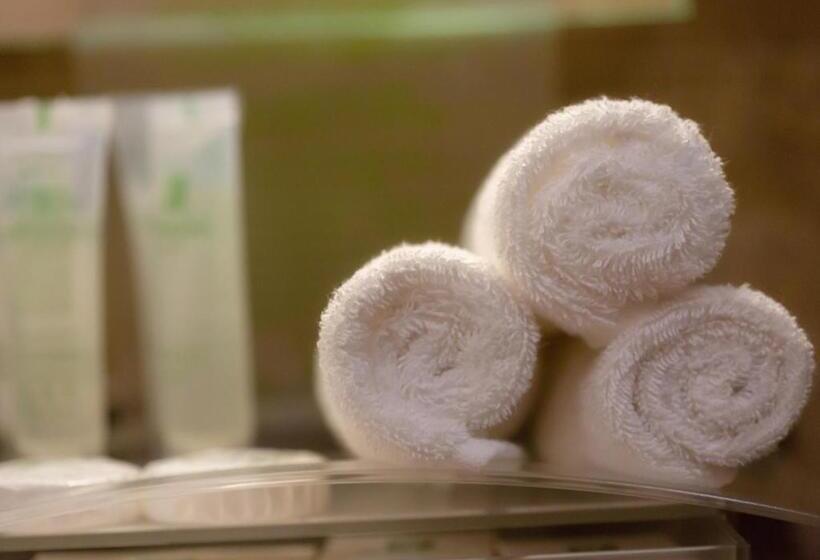 اتاق لوکس, Holiday Suites Al Azizia