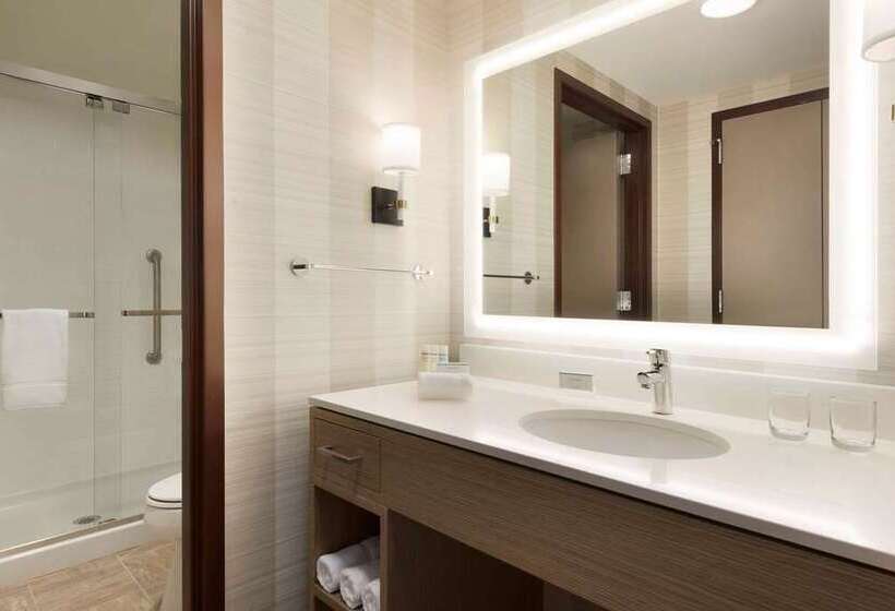 스탠다드 룸 킹사이즈 침대, Embassy Suites By Hilton New York Manhattan Times Square