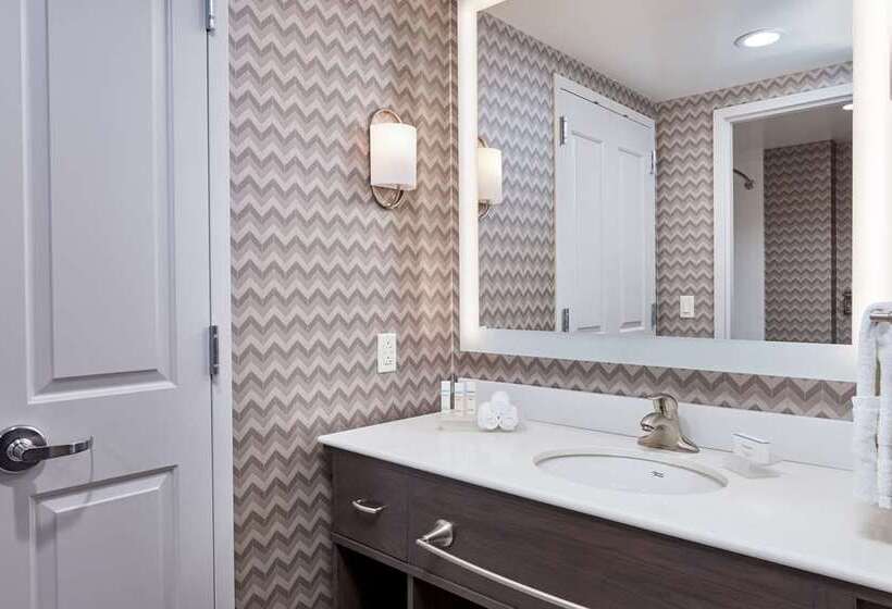 스탠다드 룸 킹사이즈 침대, Embassy Suites By Hilton New York Manhattan Times Square