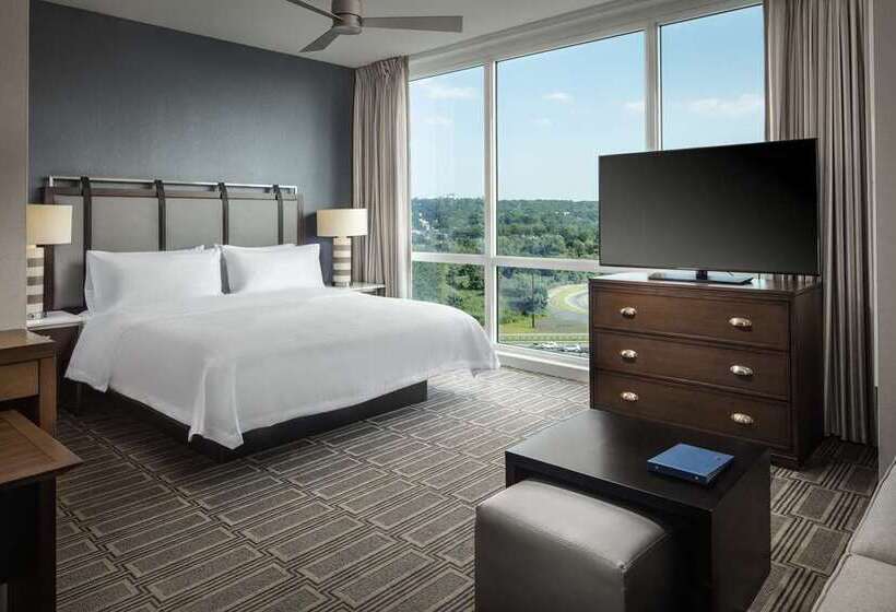 스탠다드 룸 킹사이즈 침대, Embassy Suites By Hilton New York Manhattan Times Square
