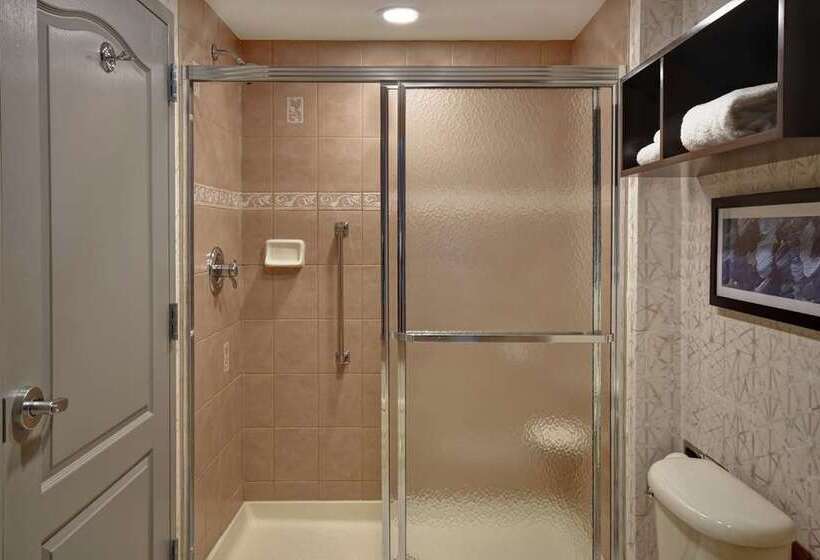 스탠다드 룸 킹사이즈 침대, Embassy Suites By Hilton New York Manhattan Times Square