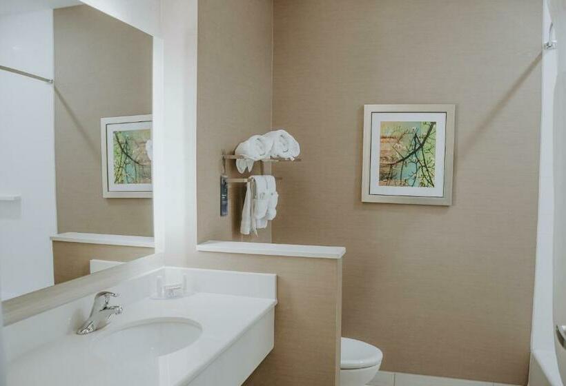 غرفة قياسية, Fairfield Inn & Suites By Marriott Lincoln Airport