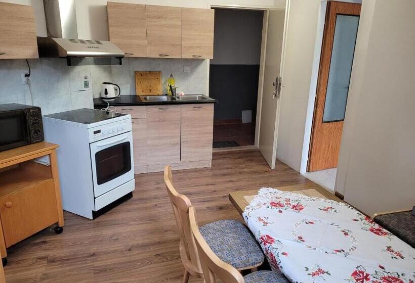 带1个卧室的公寓, Studentská Apartments