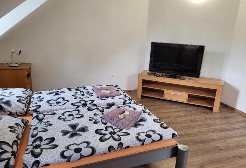 带1个卧室的公寓, Studentská Apartments