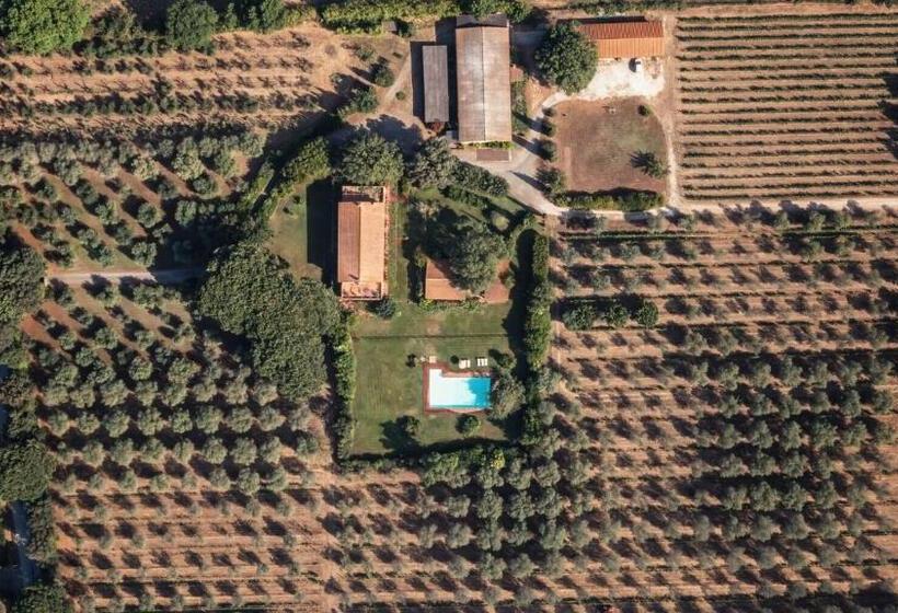 Люкс с Балконом, Bb Villa Bolgheri Mare
