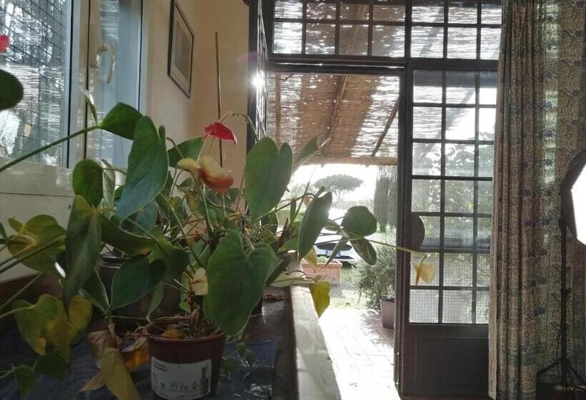 Апартаменты 1 Спальня Нижний Этаж, Bb Villa Bolgheri Mare