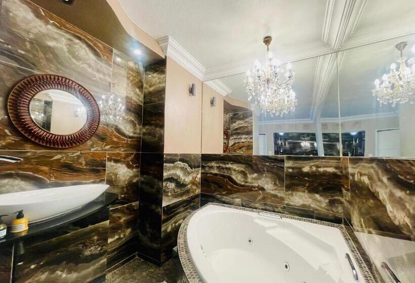 Президентский Люкс, Pretoria Mansion Coral Tree Inn