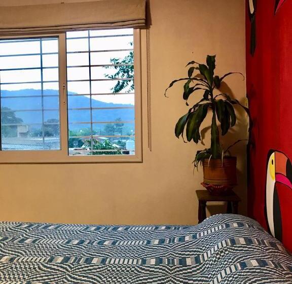 Номер Стандарт Вид на Бассейн, Hostel House Casa De Los Pájaro