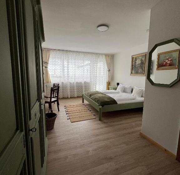 テラス付きスタンダードルーム, Haus Zum Guten Hirten