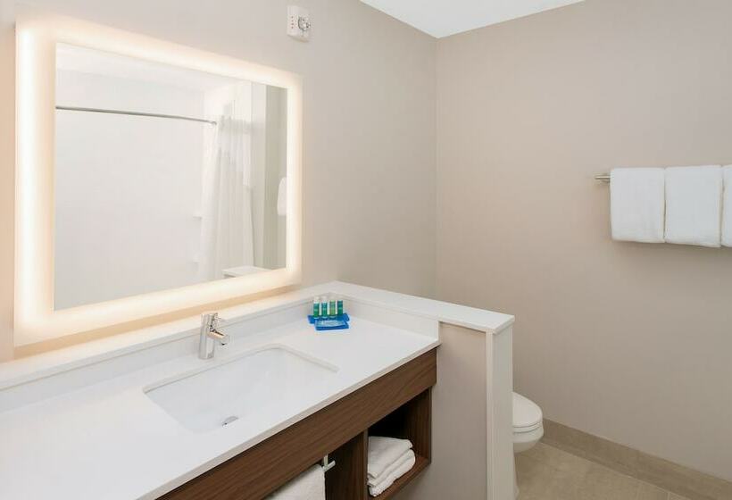 适合残疾人使用的标准间, Holiday Inn Express & Suites   Sterling Heights Detroit Area, An Ihg