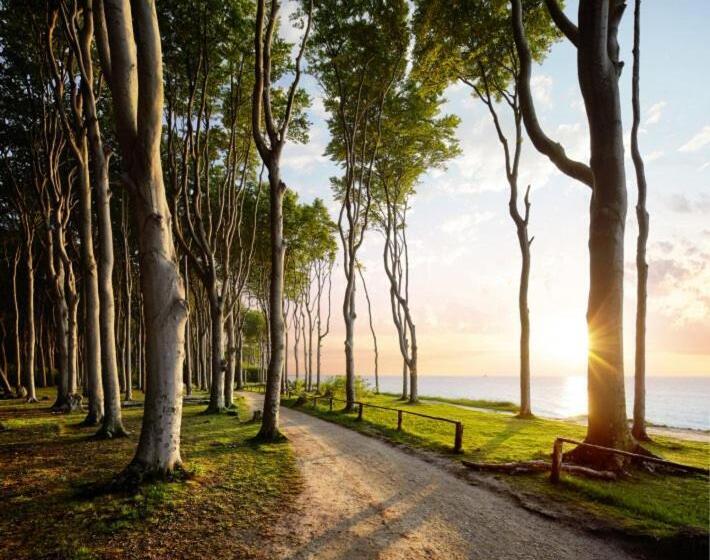 标准间, Pension Ostsee Strand