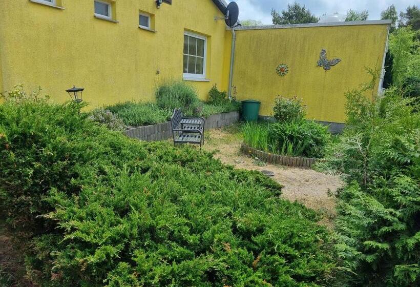 Апартаменты 1 Спальня, Pension Wiesenperle