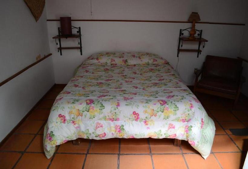 이코노미 룸, Hostel El Español