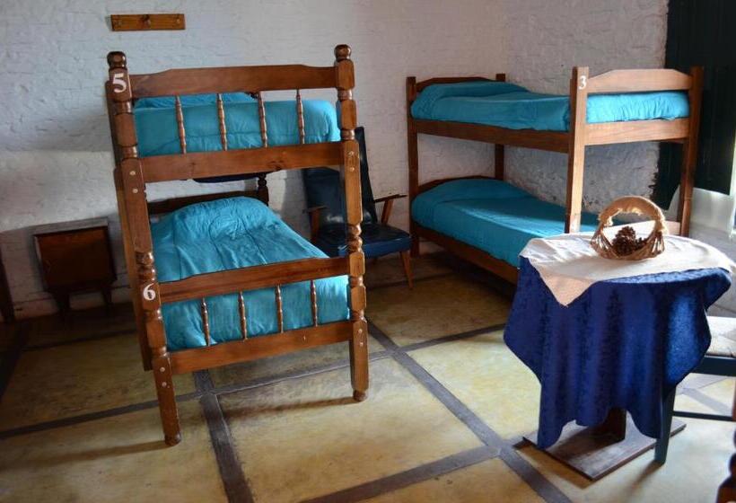 家庭间, Hostel El Español