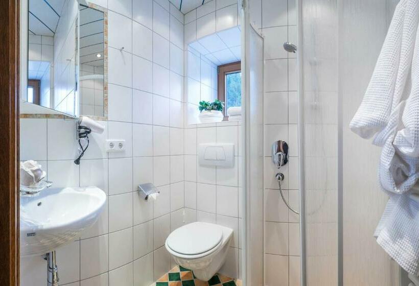 Апартаменты 1 Спальня, Aparthotel Gallahaus
