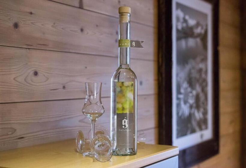 דירת שני חדרים, Aparthotel Gallahaus