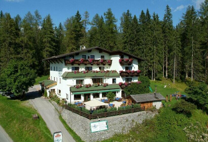 Апартаменты 1 Спальня с Балконом, Zugspitzhotel Diana Thörle