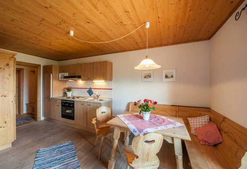 Апартаменты 1 Спальня с Видом, Zugspitzhotel Diana Thörle