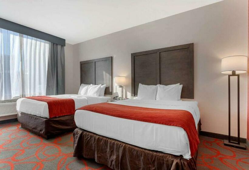 标准间, Comfort Inn & Suites Near Stadium