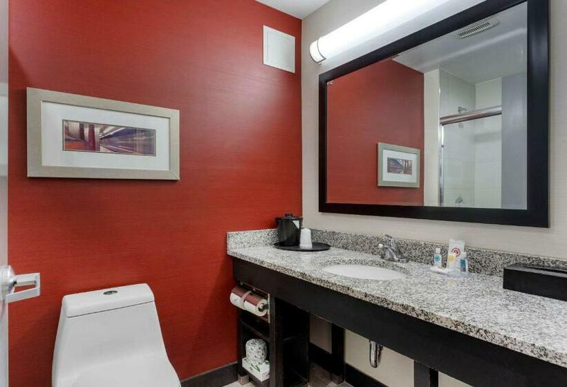 带大床的标准间, Comfort Inn & Suites Near Stadium