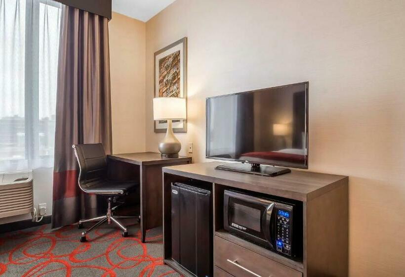 带大床的标准间, Comfort Inn & Suites Near Stadium
