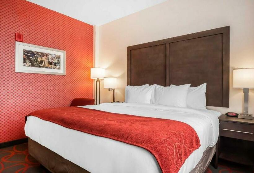 带大床的标准间, Comfort Inn & Suites Near Stadium
