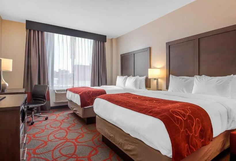 适合残疾人使用的标准间, Comfort Inn & Suites Near Stadium