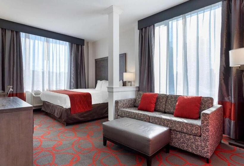 带大床的套房, Comfort Inn & Suites Near Stadium
