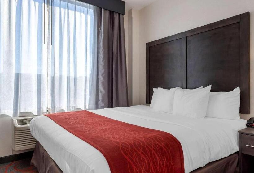 带大床的套房, Comfort Inn & Suites Near Stadium