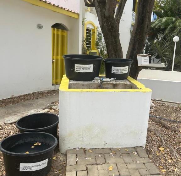 آپارتمان 1 خوابه با چشم‌انداز دریا, Diver's Paradise Bonaire