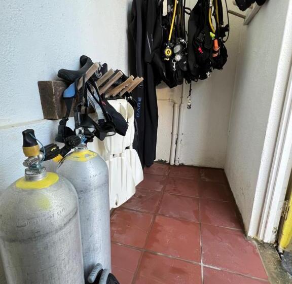 سوییت با چشم‌انداز باغ, Diver's Paradise Bonaire