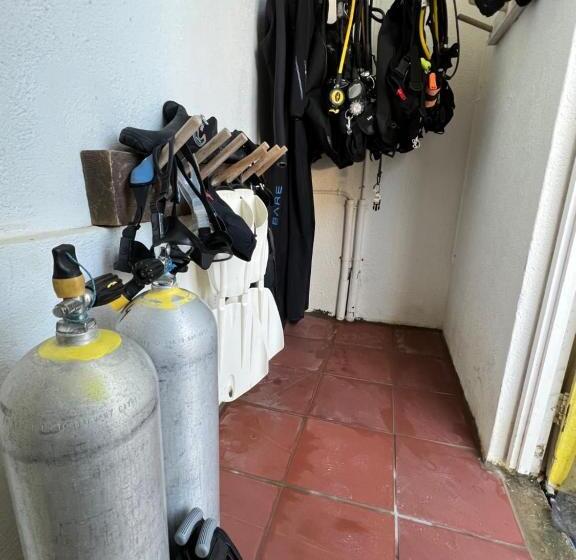 سوییت با چشم‌انداز باغ, Diver's Paradise Bonaire