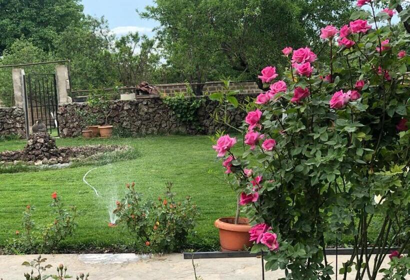 Номер Стандарт, Chez Yvette