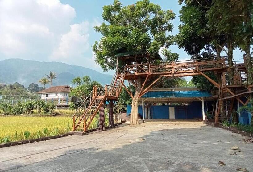 Президентский Люкс, Aries Biru Resort