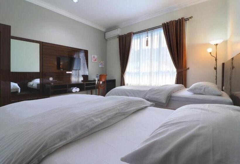 Полулюкс, Aries Biru Resort