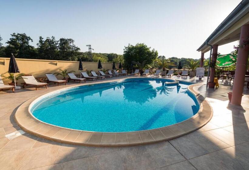 Номер Стандарт с Балконом, Family Hotel Dayana Beach