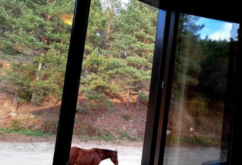 패밀리 룸, Rusaliite Adventure House