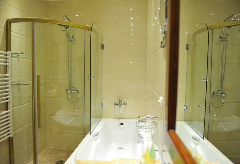 스탠다드 룸, Park Hotel Stara Zagora