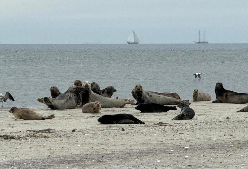 Номер Стандарт, Bed And Relax Terschelling