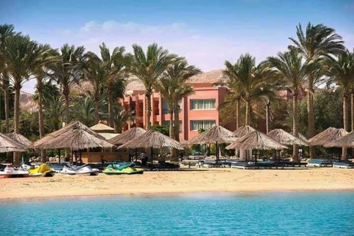 آپارتمان 1 خوابه با چشم‌انداز استخر, قرية بالميرا السخنه