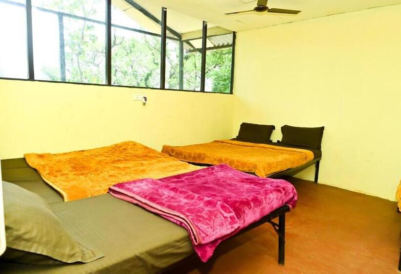 家庭间, Jungle Adventure Homestay