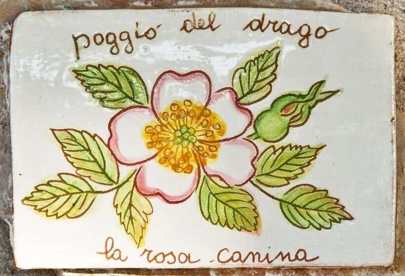 Номер Стандарт, Agriturismo Poggio Del Drago