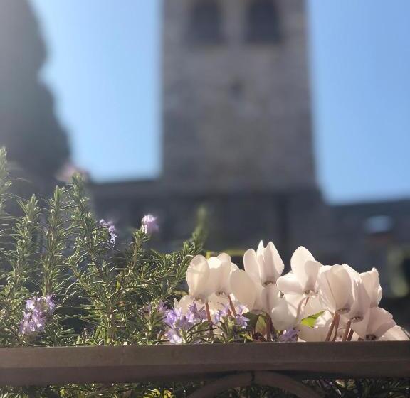 سوئیت جونیور با چشم‌انداز, The Tower Of The Old King