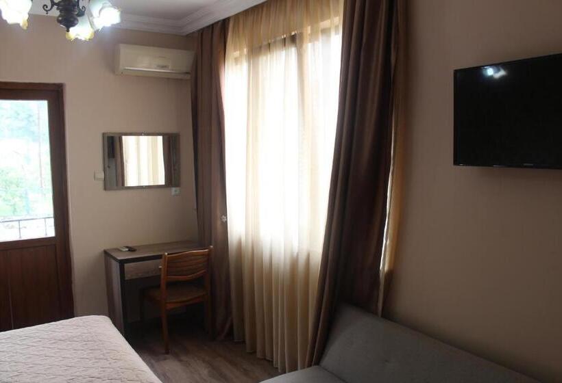 اتاق استاندارد, Deluxe Guest House