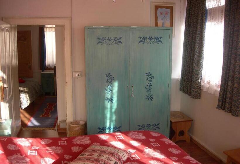 Апартаменты с 1 спальней, смежные, B&b Airone