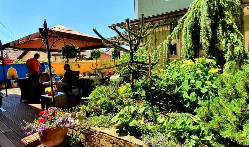 اتاق استاندارد چهار تخته, Hostel Sonce