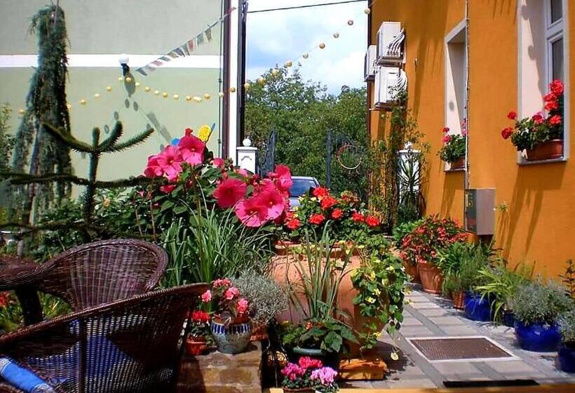 اتاق استاندارد چهار تخته, Hostel Sonce