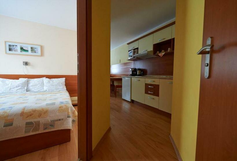 带1个卧室的公寓, Family Apartments